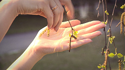 Законопроект об удалёнке для аллергиков внесли на рассмотрение в Госдуму депутаты ЛДПР