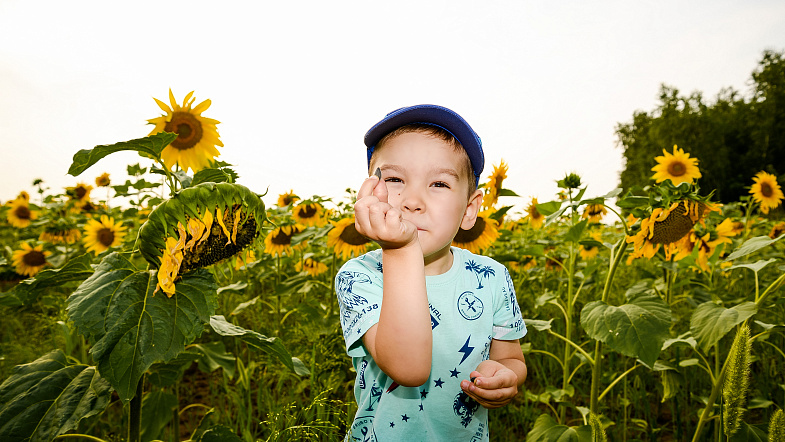 На Алтае начался сезон фотосессий в подсолнухах