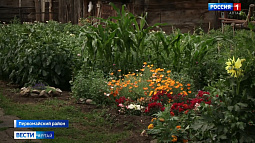 Кого в Алтайском крае коснётся сельскохозяйственная микроперепись?