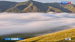 Как снимать природу на обычный смартфон? 