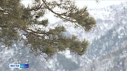 По северу Сибири на восток 12 марта двигается холодный циклон