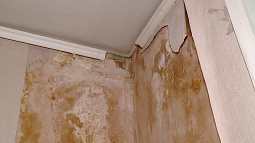 Жильцы дома на пр. Ленина, 93 вёдрами собирают воду с потолка