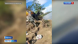 Барнаулец соорудил шалаш на берегу Оби, в котором заготавливал марихуану
