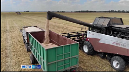 Китайская Народная республика может начать импортировать озимую пшеницу с Алтая