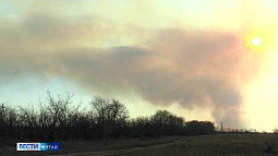 В Алтайском крае до конца недели действует штормовое предупреждение из-за высокой пожароопасности