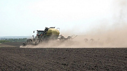 Хозяйства Бийского района в этом году делают ставку на гречиху