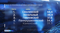 В Алтайском крае назвали районы-лидеры по урожайности и сбору зерна