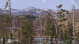 Через пять лет в регионе переиздадут Красную книгу Алтайского края