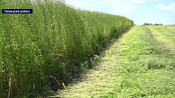 В Алтайском аграрном университете провели семинар-совещание агровузов