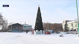 В Бийске установили 13 новогодних ёлок