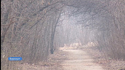 Жителей Барнаула приглашают сегодня на субботник в парк «Юбилейный»