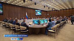 Михаил Мишустин и Виктор Томенко обсудили индивидуальную программу социально-экономического развития региона