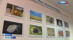 В АлтГУ подвели итоги конкурса «Мир глазами биологов»