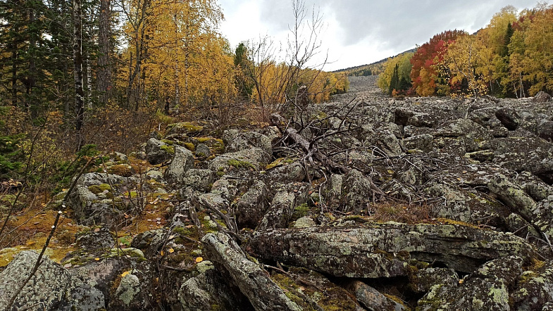 В Алтайском крае туристы смогут увидеть, как «текут» каменные реки
