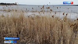 В Алтайском крае создан новый государственный природный заказник «Рубцовская степь»