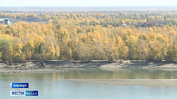 Классическое бабье лето началось в Алтайском крае