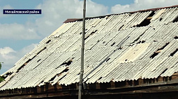 Сёла Михайловского и Волчихинского районов восстанавливаются после сильного града