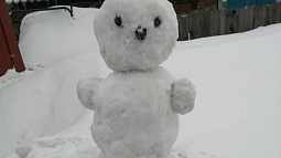 В самом снежном районе  края, Змеиногорском, впервые отметят День снега 