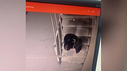 В Барнауле больше суток разыскивали 12-летнюю школьницу