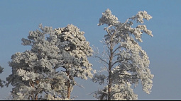 Ночью в Алтайском крае было морозно