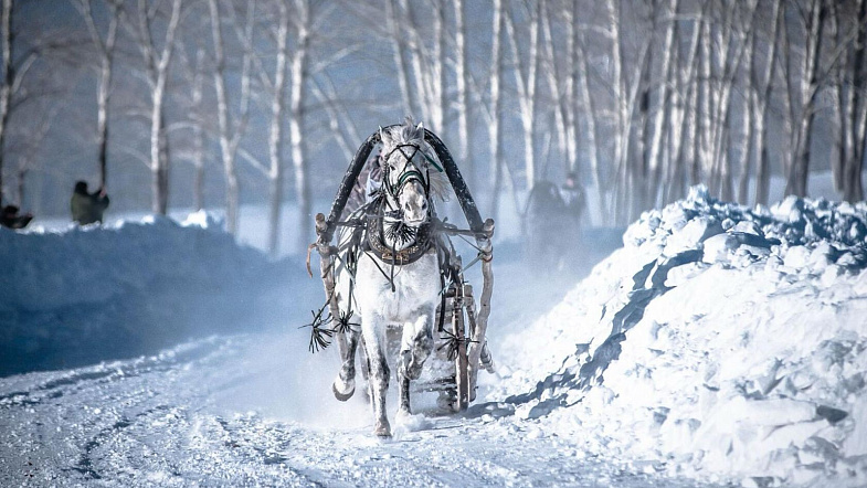 В Налобихе пройдут конные бега беспородных лошадей