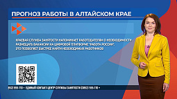 «Прогноз работы»: выпуск от 11.12.2025