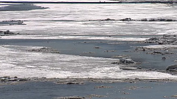 Обь начала вскрываться в Алтайском крае