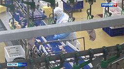 Стало известно, почему из магазинов пропала курица «Алтайского бройлера»