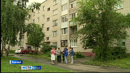 В Научном городке жительница многоэтажки завела 100 кошек. Соседи недовольны