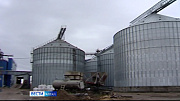 Китай готов закупать в Алтайском крае отруби