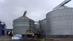 Китай готов закупать в Алтайском крае отруби