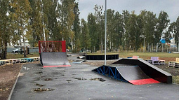 Скейт-парк в селе и яблоневый сад в городе – успешные проекты сибиряков   