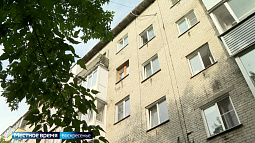 В Барнауле жильцы многоэтажки борются с нашествием гамазовых клещей