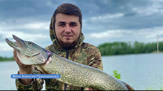 Барнаульский рыбак поймал огромную щуку