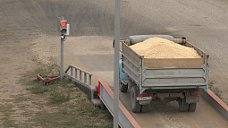 Аграриям Алтайского края станет сложнее продавать зерно в Казахстан