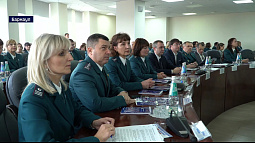 Сотрудники налоговой службы получили федеральные, краевые и ведомственные награды