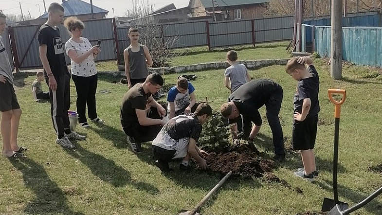 «На одно уничтоженное дерево – посадить два»: как житель Заринска делает город вечнозелёным