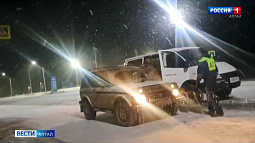 Краснокнижных птиц спасли на Дальнем Востоке