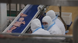 После трёх месяцев простоя в Зональном районе возобновила работу птицефабрика «Алтайский бройлер»