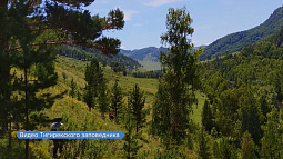 Сегодня День работников заповедного дела, которые сохраняют и восстанавливают дикую природу