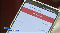 Налоговая просит сканировать чеки из ресторанов, чтобы вывести из тени бизнес общепита