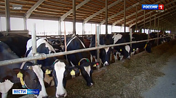 Современный животноводческий комплекс в Тальменском районе будет построен до 2023 года