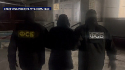 В Барнауле вынесли приговор иностранному студенту за публичные призывы в интернете к терроризму