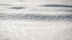 В Барнауле похолодало и выпал снег