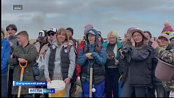 Жителей Алтайского края приглашают принять участие в посадке леса