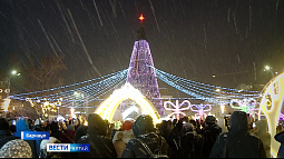 Какие ёлки установили в городах Алтайского края?