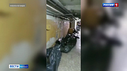 Минздрав Алтайского края прокомментировал видео с трупами в подвале