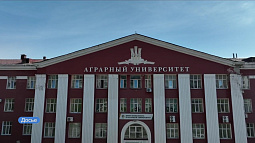 Считанные часы остаются у абитуриентов Алтая, чтобы подать согласие на зачисление