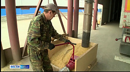 Алтайские предприятия-экспортёры сельхозпродукции могут компенсировать до четверти своих затрат