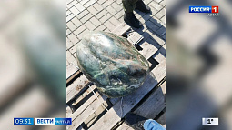 В Барнауле направлено в суд дело новосибирского «нефритового магната»